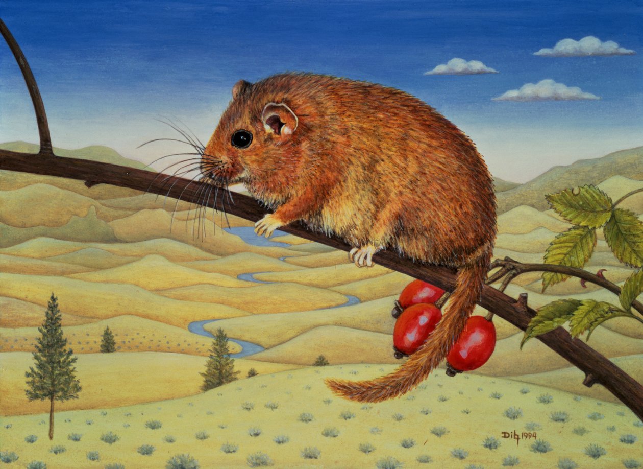 Dormouse Number Two, 1994 alkotó: Ditz