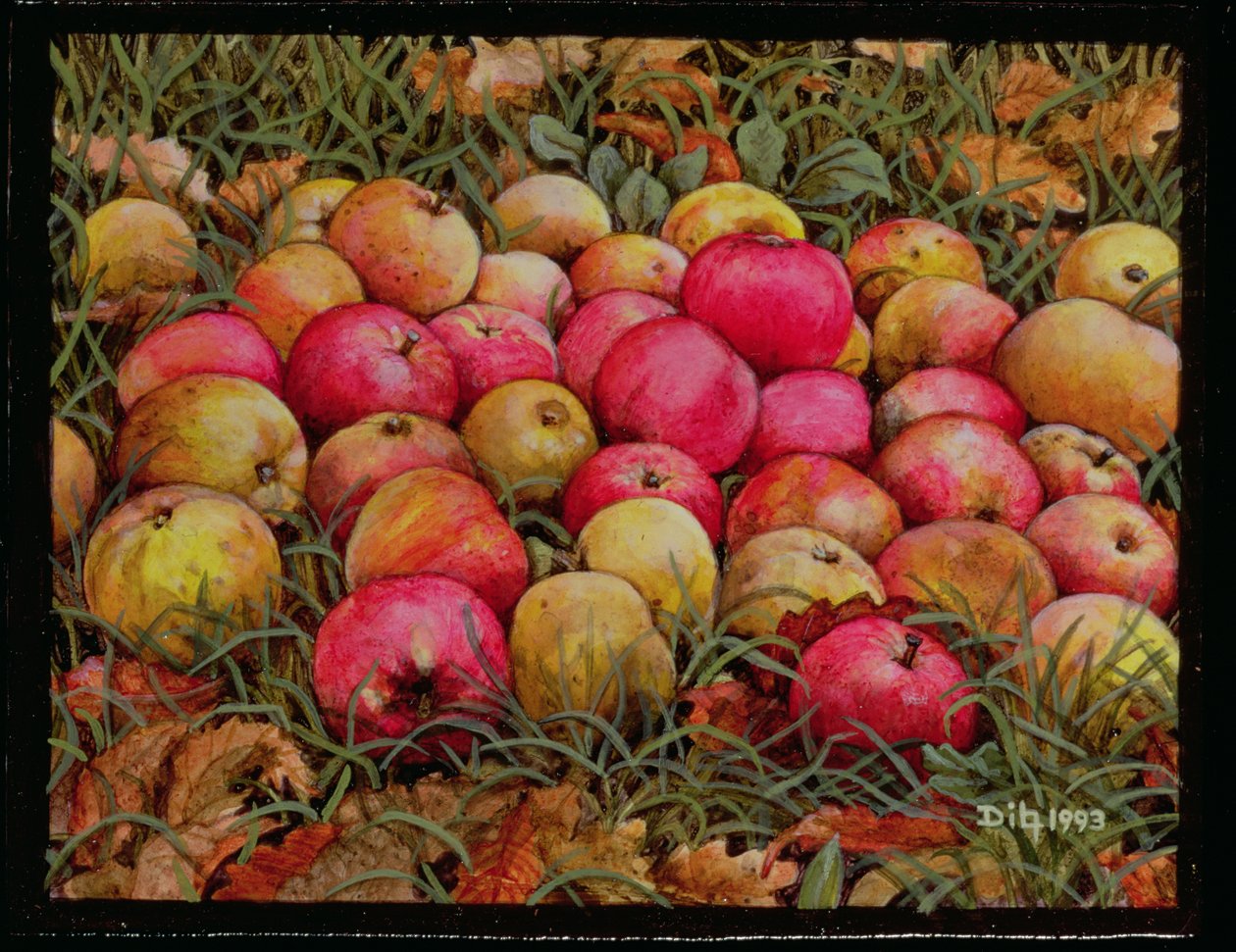 Durnitzhofer alma, 1993 alkotó: Ditz