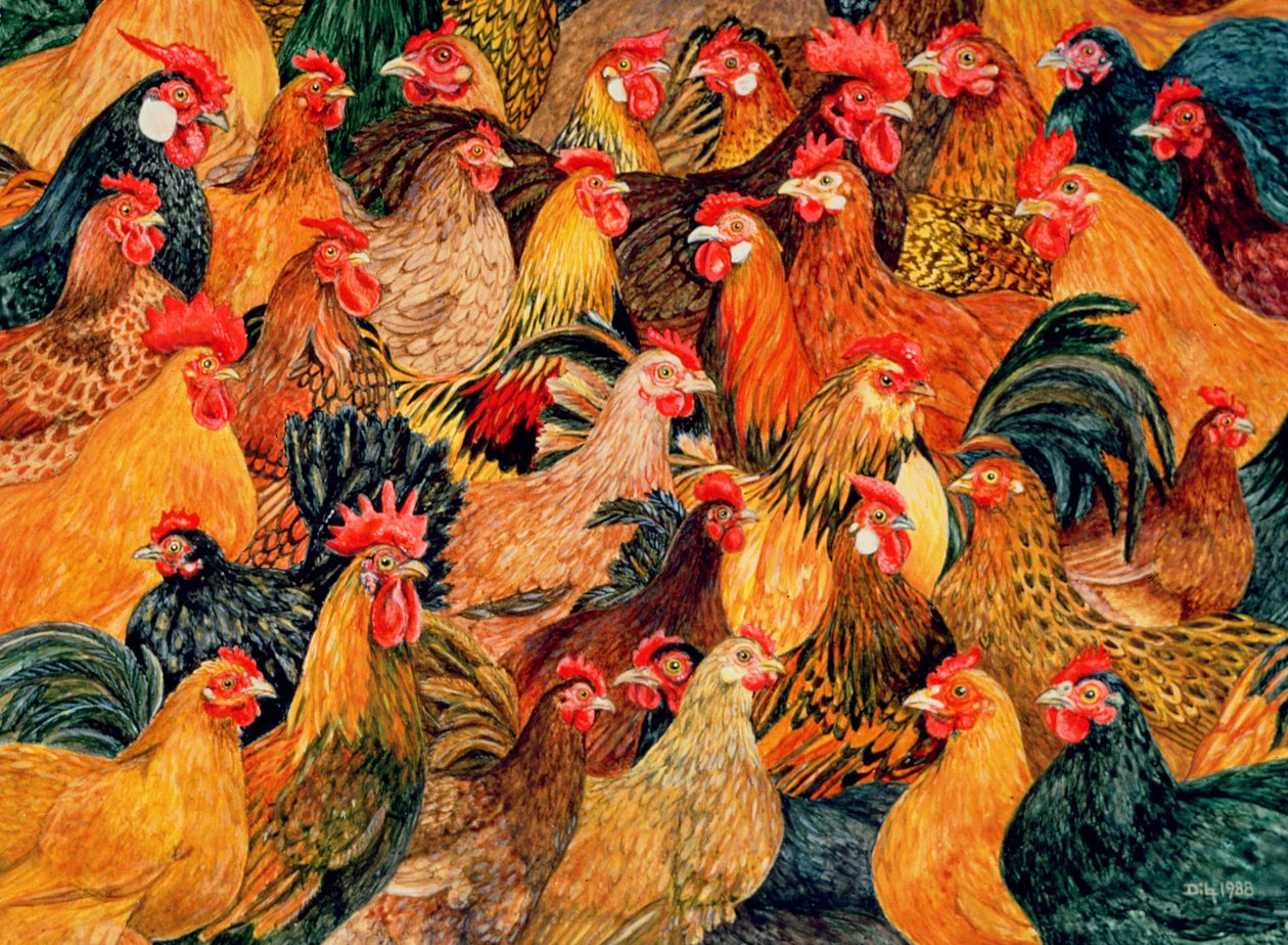 Finom Fowl alkotó: Ditz