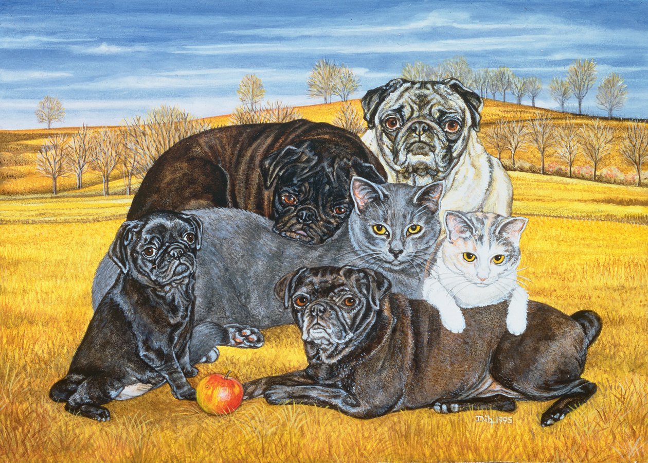 Hocking County Pug-Cats, 1995 alkotó: Ditz