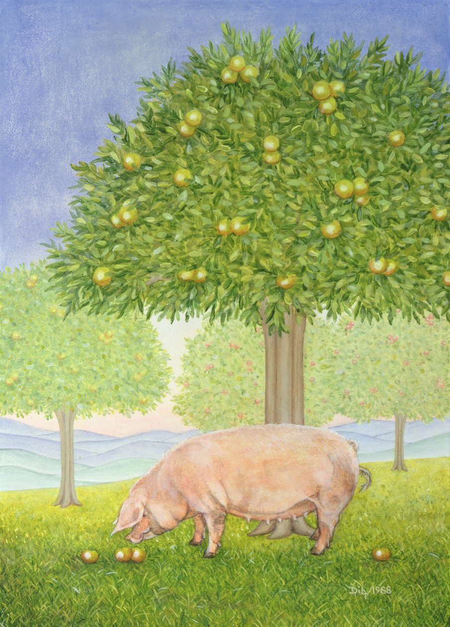 Balkezes Orchard Pig alkotó: Ditz