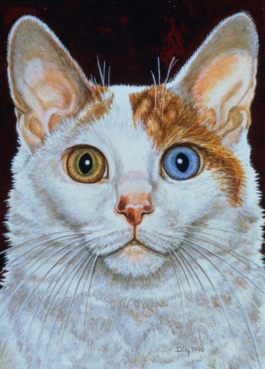 Minette, 1996 (akril a panelen) alkotó: Ditz
