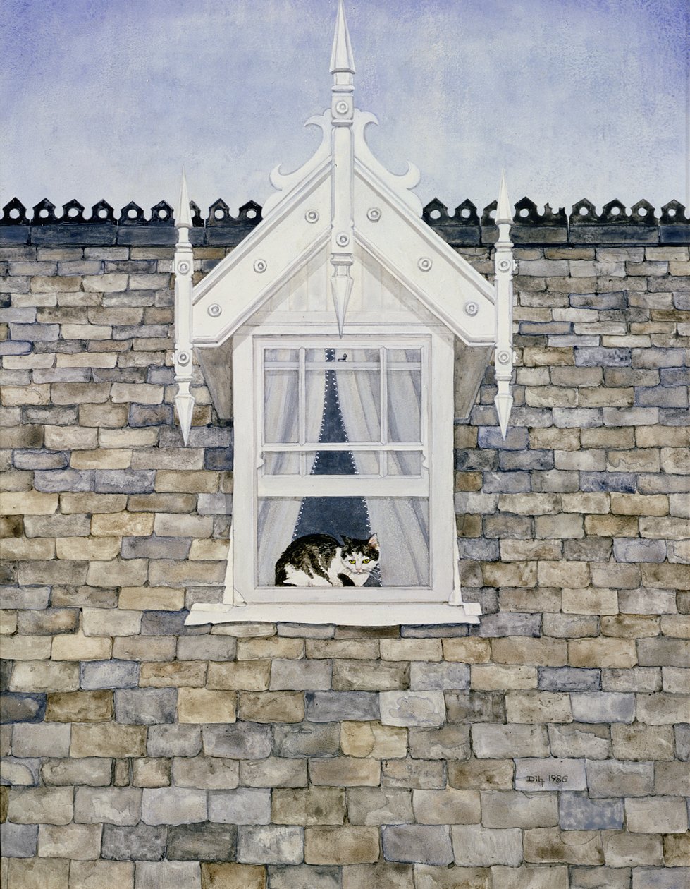 St.Helier Dormer Cat alkotó: Ditz