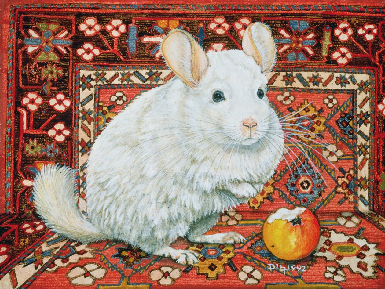 A szőnyeg-csincsilla, 1992 alkotó: Ditz