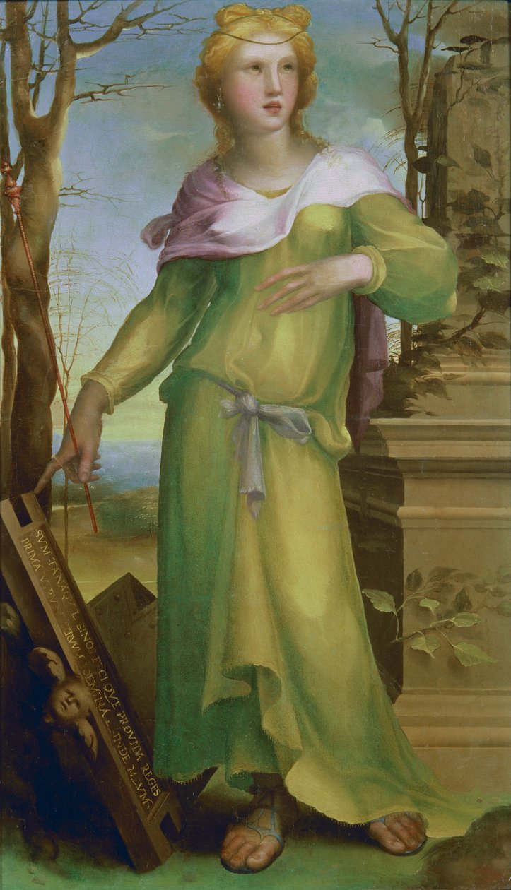 Tanaquil, 1520-25 körül (olaj, fa) alkotó: Domenico di Pace Beccafumi  