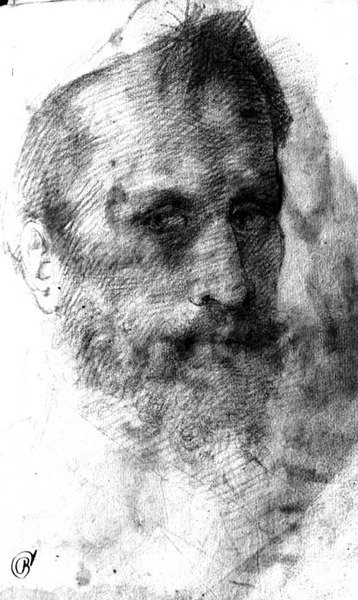 Szakállas férfi (vörös kréta) alkotó: Domenico Beccafumi