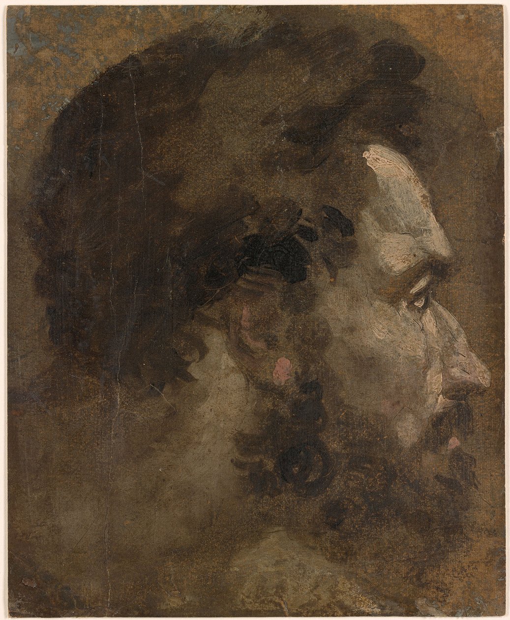 Beccafumi - Szakállas férfi feje profilban, jobbra, 1530-1535 körül. alkotó: Domenico Beccafumi