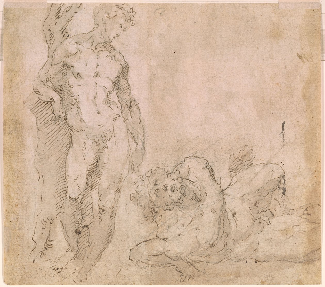Beccafumi - Verso Fatörzsnek támaszkodó férfiakt és hátradöntött fejjel fekvő férfiakt, 1530-1540 körül. alkotó: Domenico Beccafumi