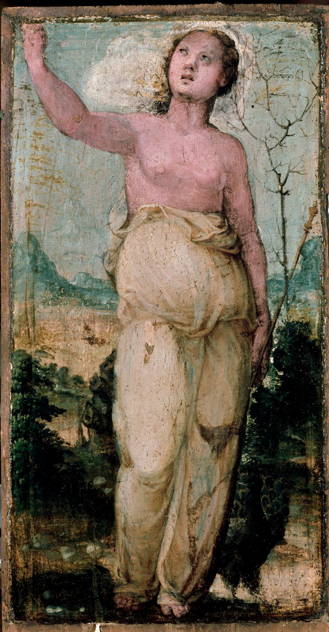 Női alak. Domenico Beccafumi (1486-1551) festménye. Siena, Konzervatórium alkotó: Domenico Beccafumi