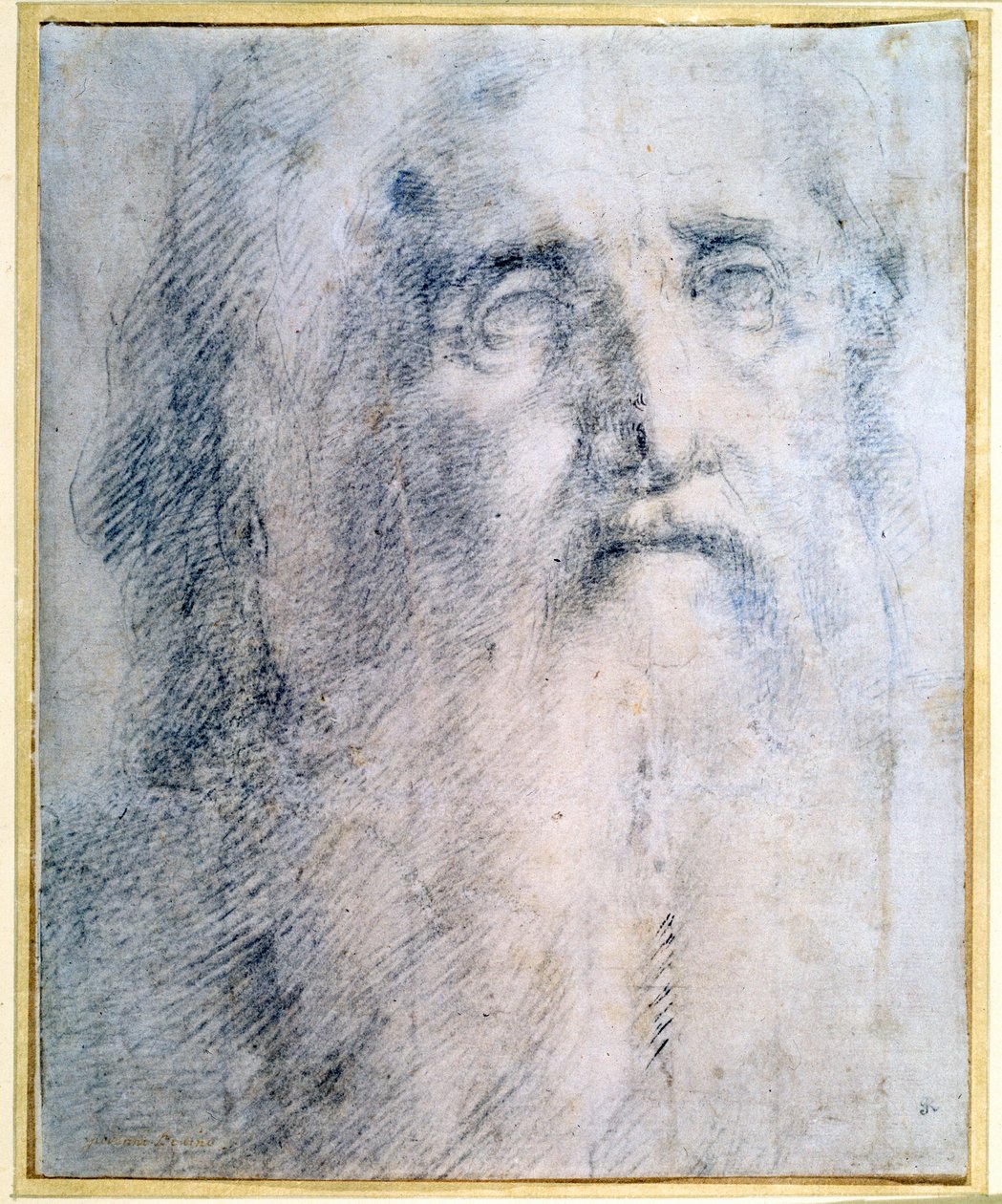 „Tanulmány egy szakállas öregember fejéről”, 1535 alkotó: Domenico Beccafumi