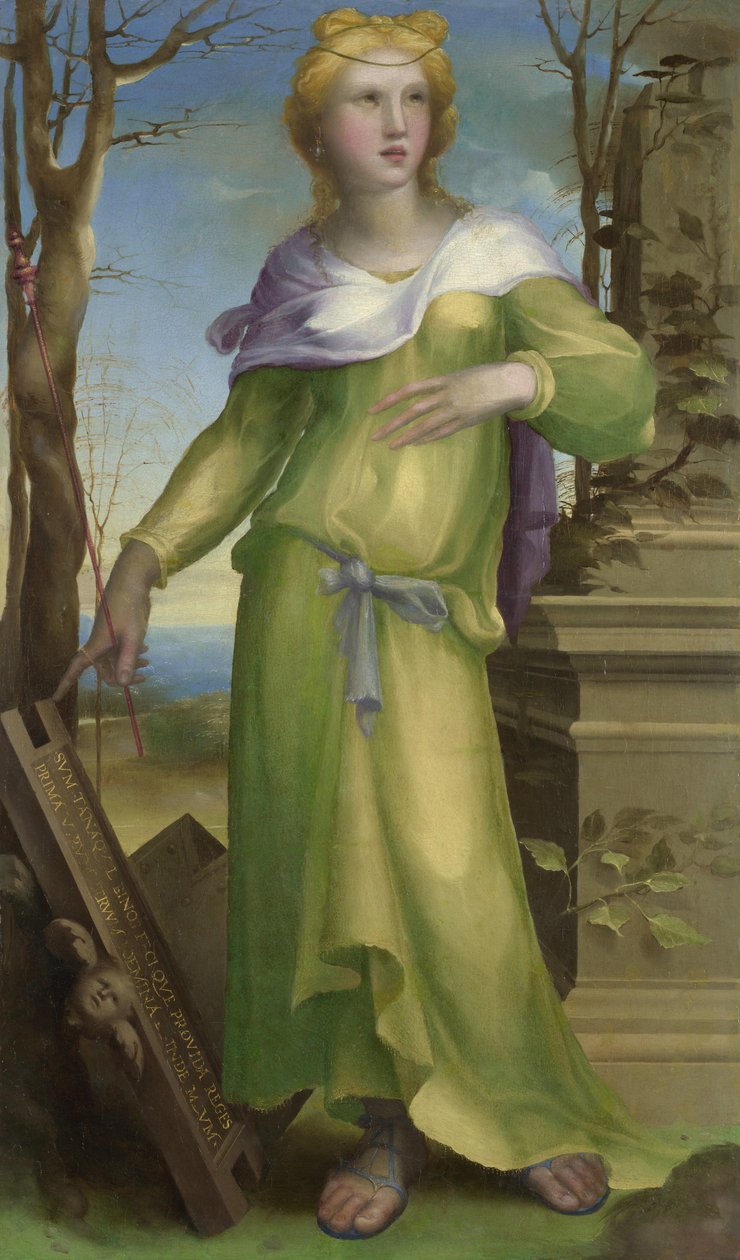 Tanaquil, c. 1519 alkotó: Domenico Beccafumi