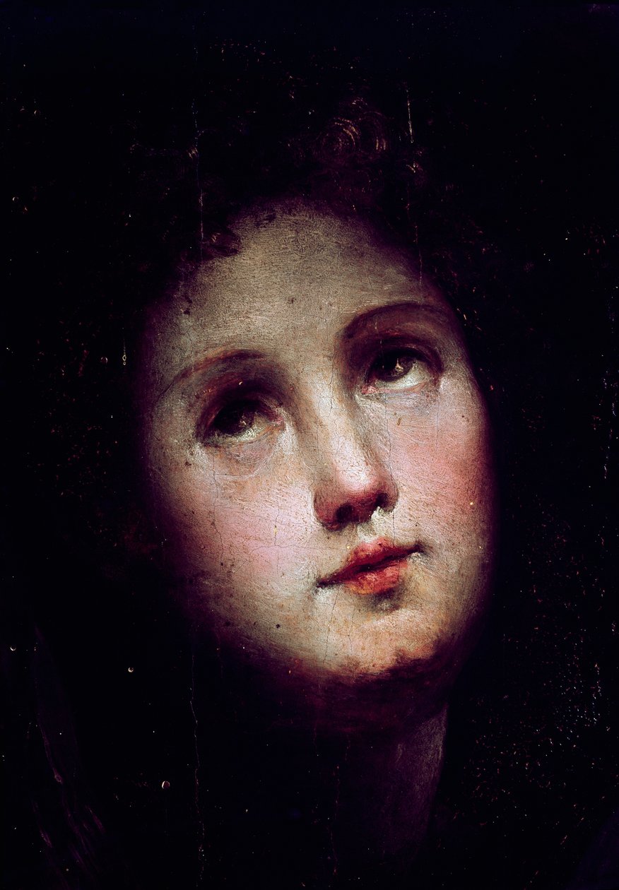 Krisztus alászállása a bizonytalanságba. Egy fiatal férfi arcának részlete belemerül a sötétbe (sötétbe), és az ég felé néz. Domenico Beccafumi (1486-1551) festménye alkotó: Domenico Beccafumi