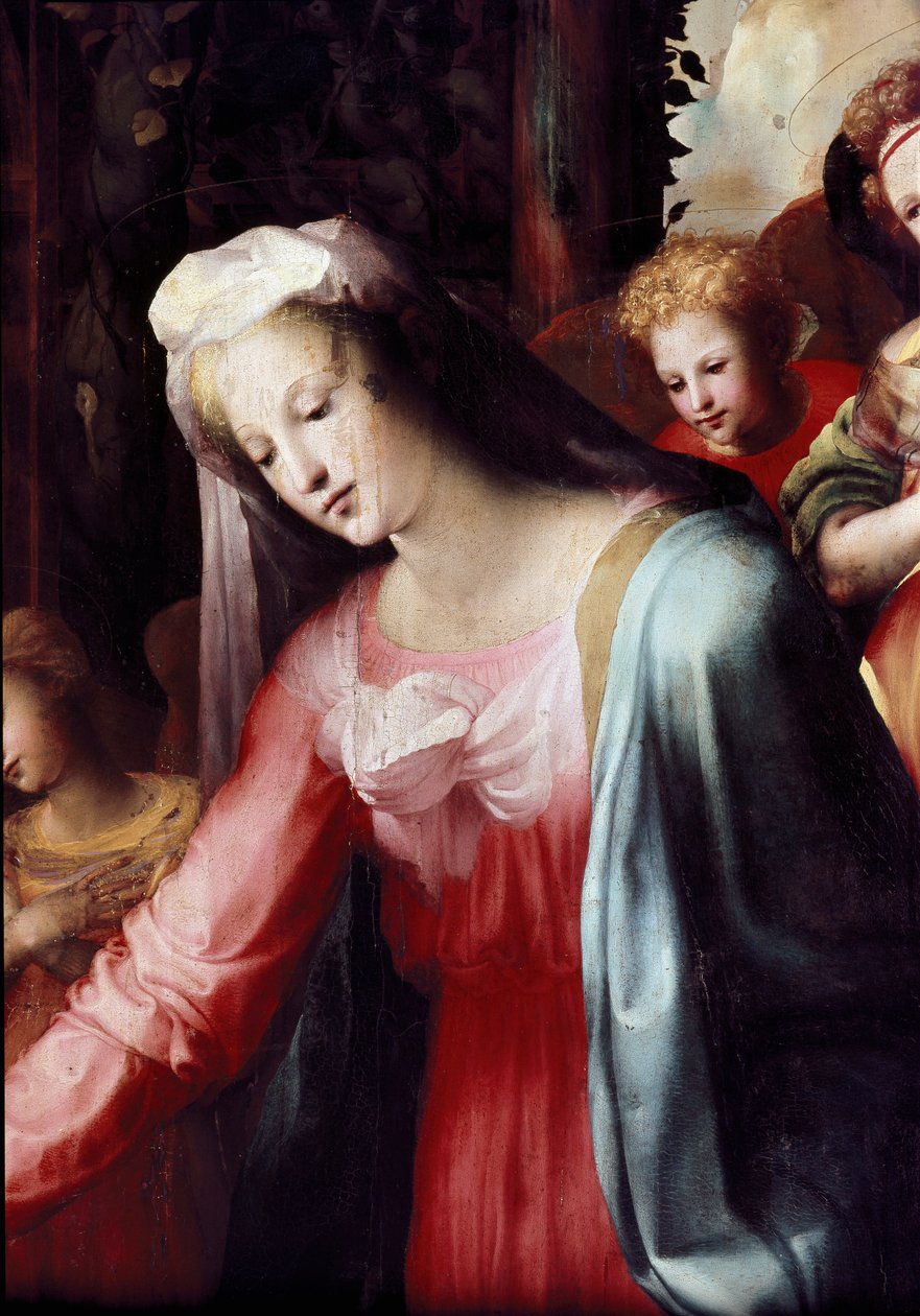 A Szűz születése, részlete. Domenico Beccafumi (1486-1551) festménye alkotó: Domenico Beccafumi