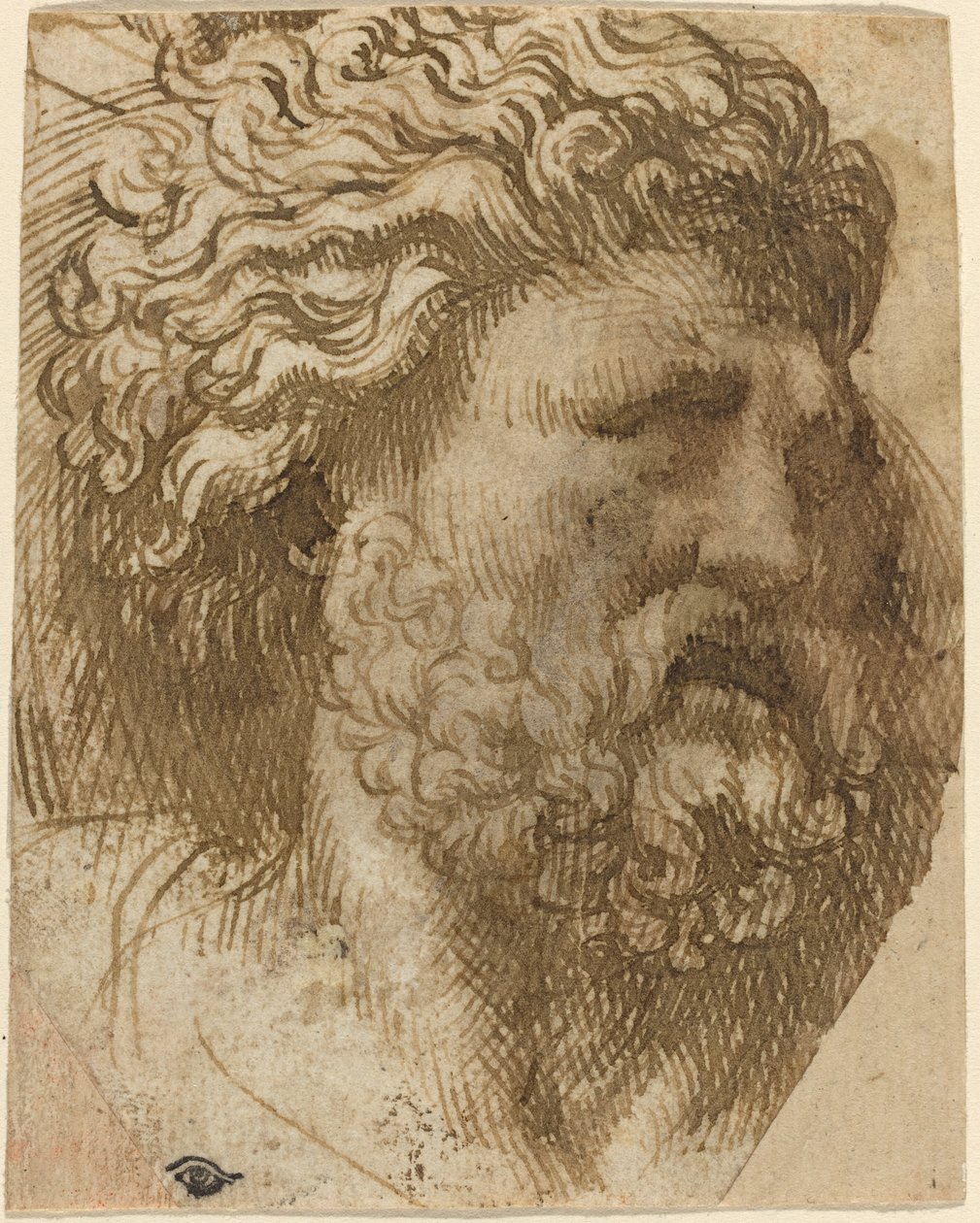 Egy ember feje alkotó: Domenico Campagnola