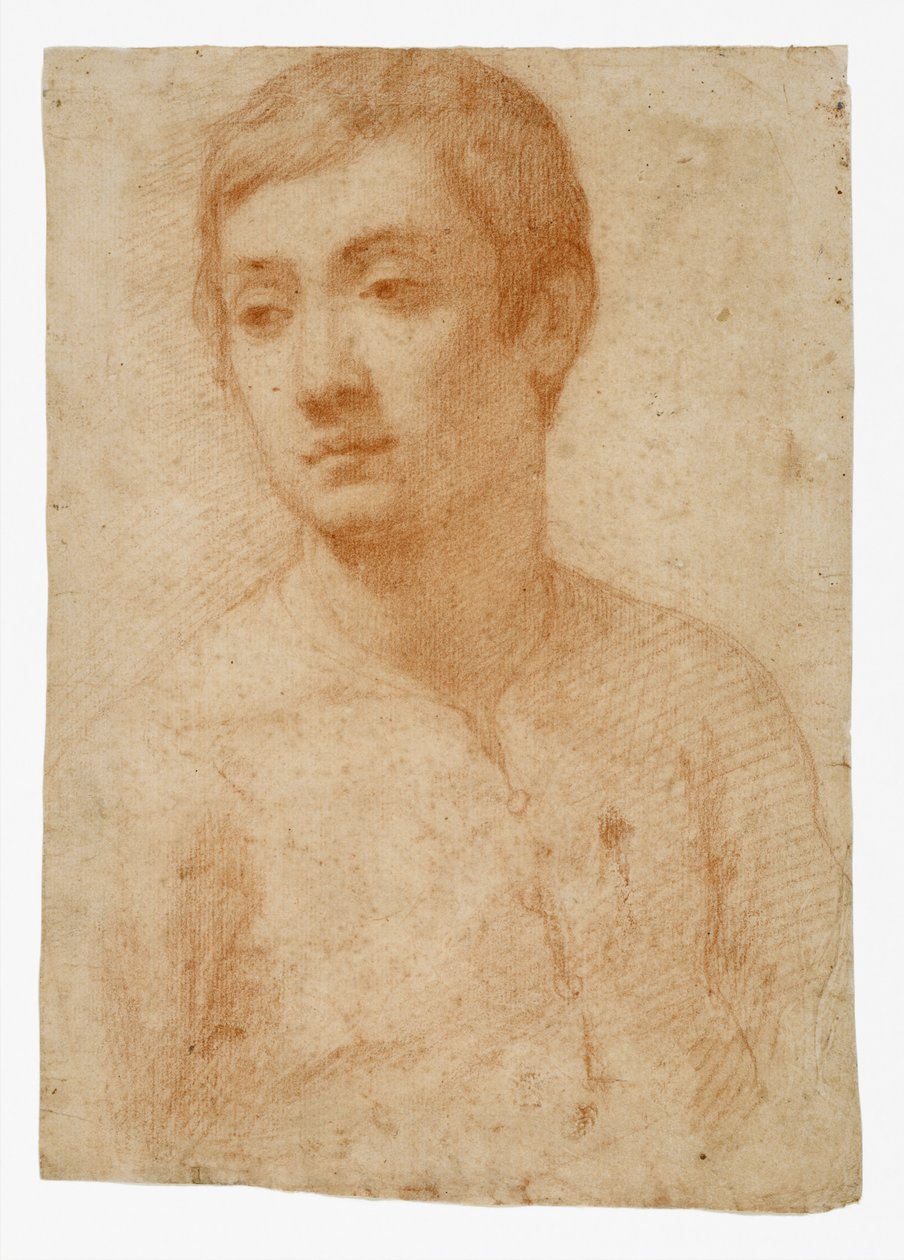 Egy fiatal feje, 1600-25 körül (piros kréta fektetett papíron) alkotó: Domenico Cresti