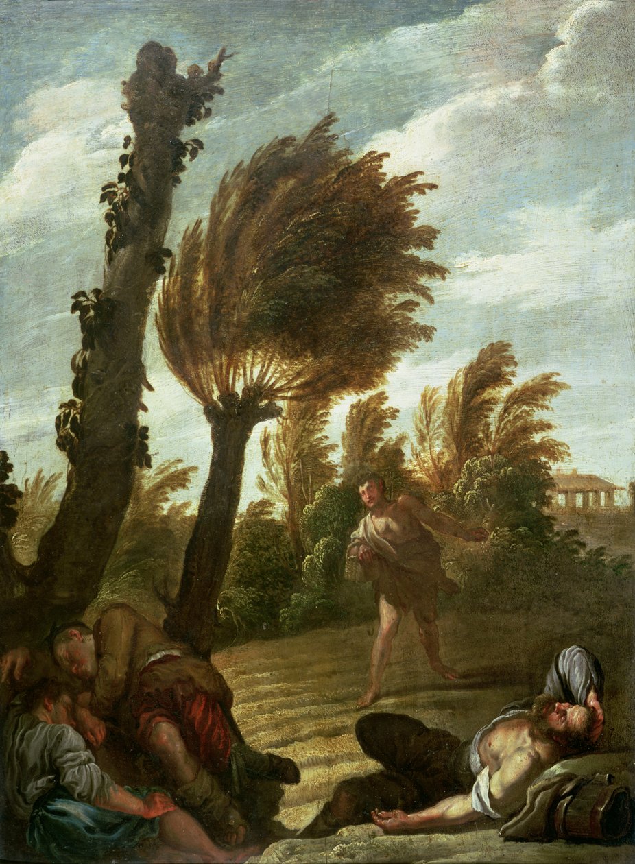 Példabeszéd a konkolyvetőről, 1620-21 körül alkotó: Domenico Fetti or Feti