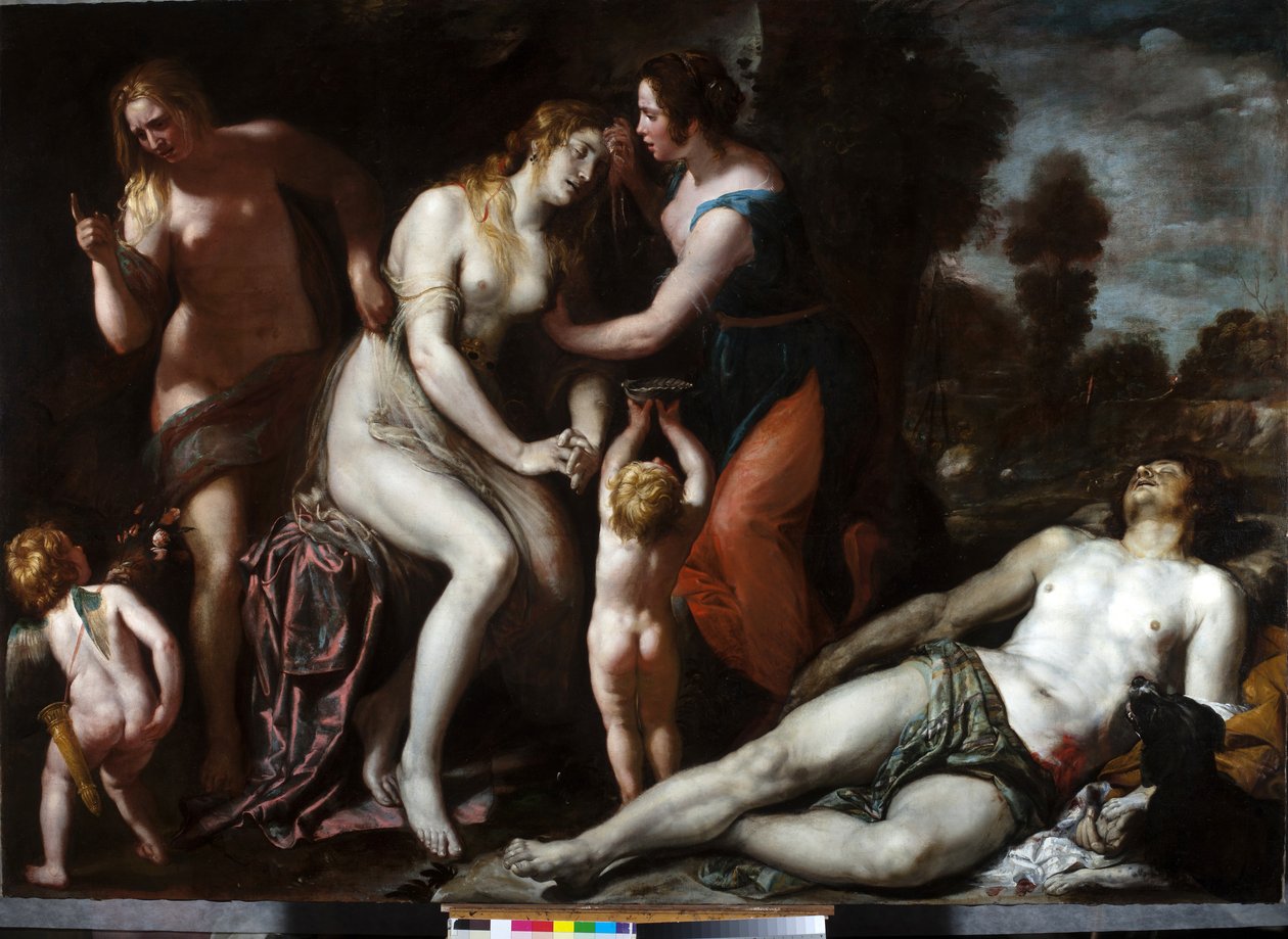 Adonis halála (olaj, vászon) alkotó: Domenico Il Sarzana Fiasella