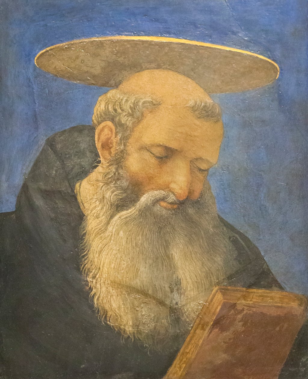 Egy tónusos, szakállas szent feje, 1440-44 körül (tempera fán) alkotó: Domenico Veneziano
