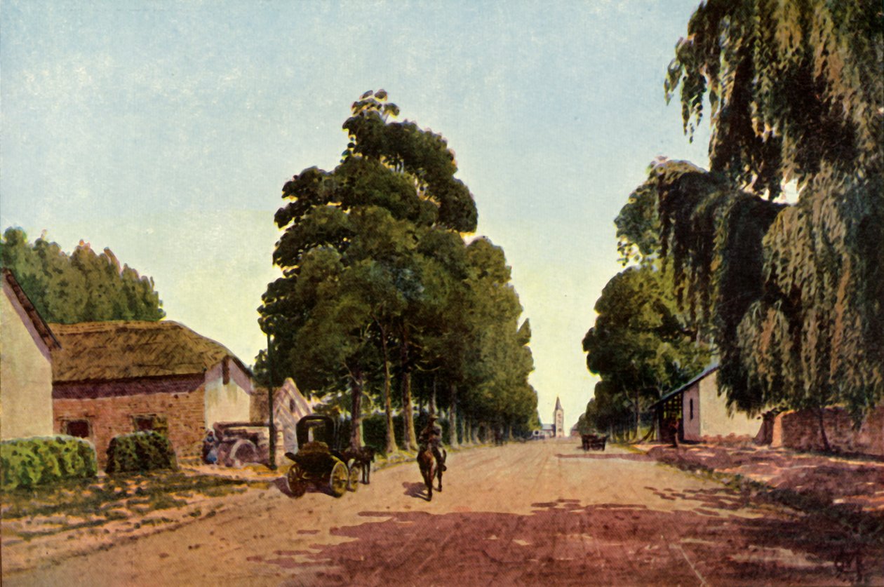 „Church Street, Pretoria – A város megközelítése”, 1901. alkotó: Donald E M