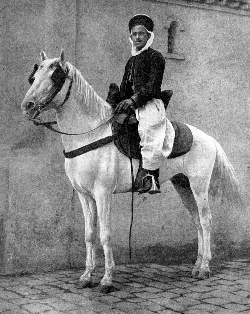 A francia hadsereg berber lovasa, 1936. alkotó: Donald McLeish