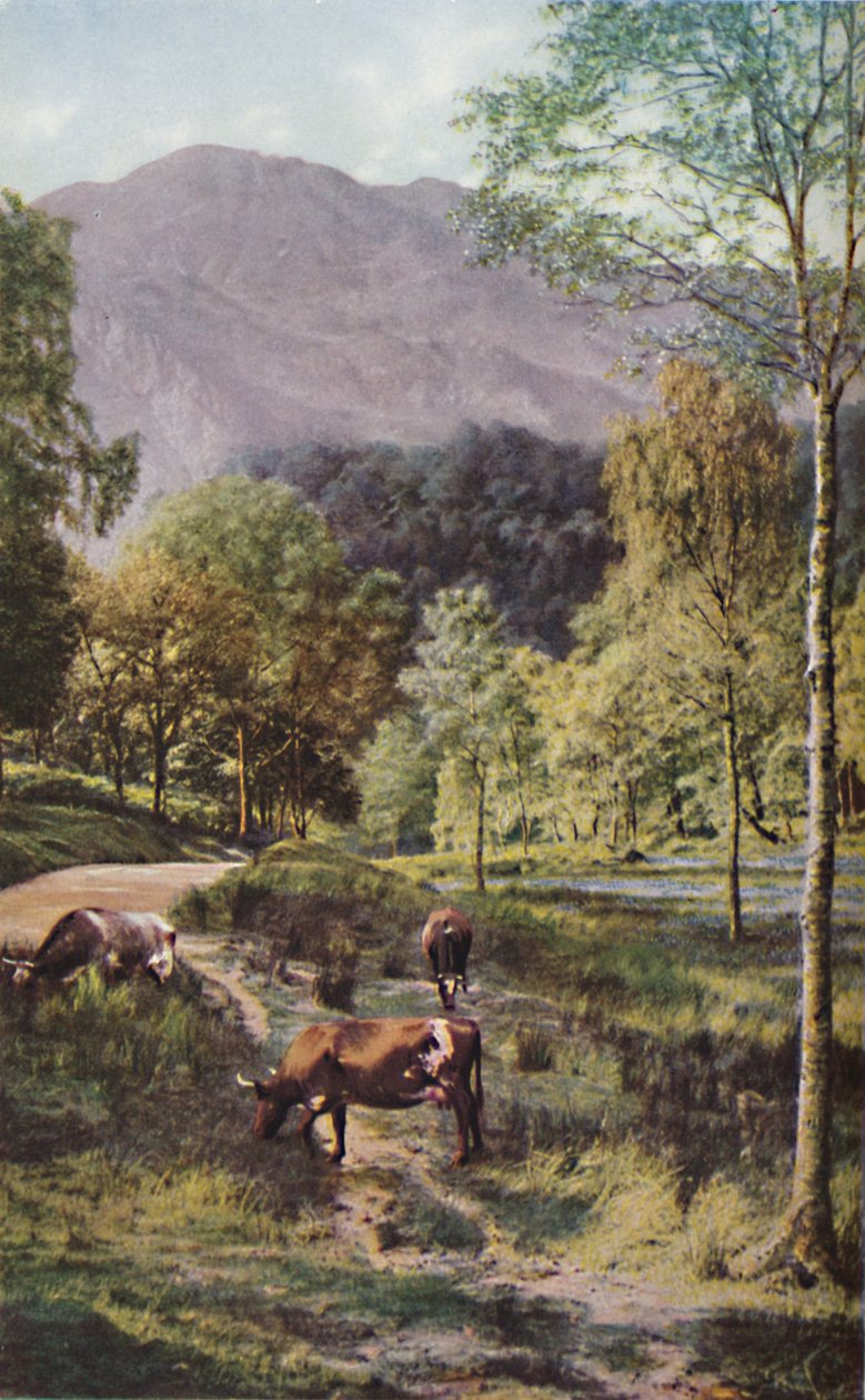 Skócia, 1930-as évek alkotó: Donald McLeish