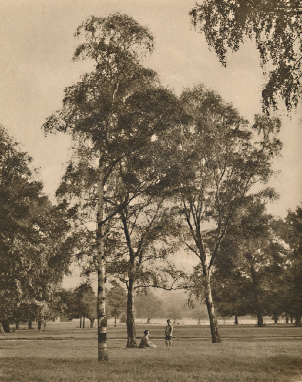 A levelek csipkemunkája: Nyári reggel a Hyde Parkban, 1935. alkotó: Donald McLeish