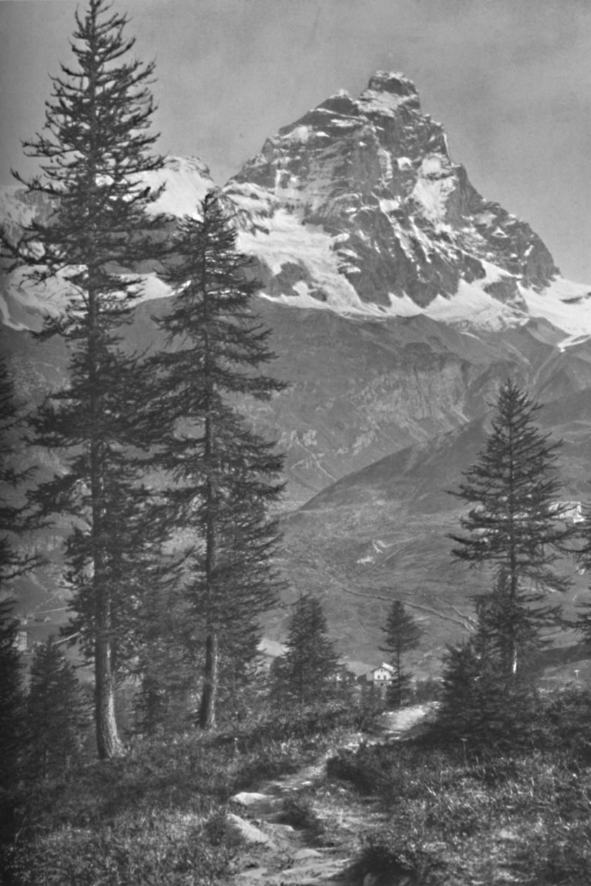 A Matterhorn olasz oldalról, Brueil erdő, 1917 alkotó: Donald McLeish