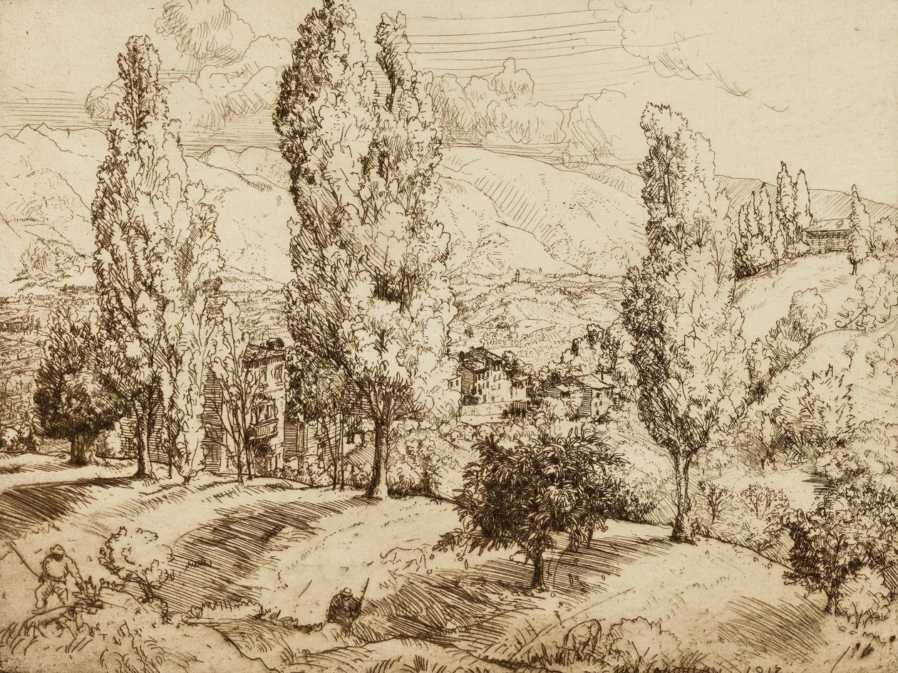 Asolo mezői alkotó: Donald Shaw MacLaughlan