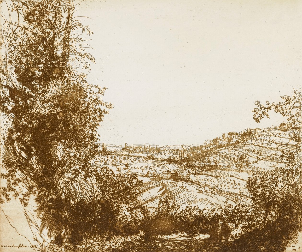 Olive Groves alkotó: Donald Shaw MacLaughlan
