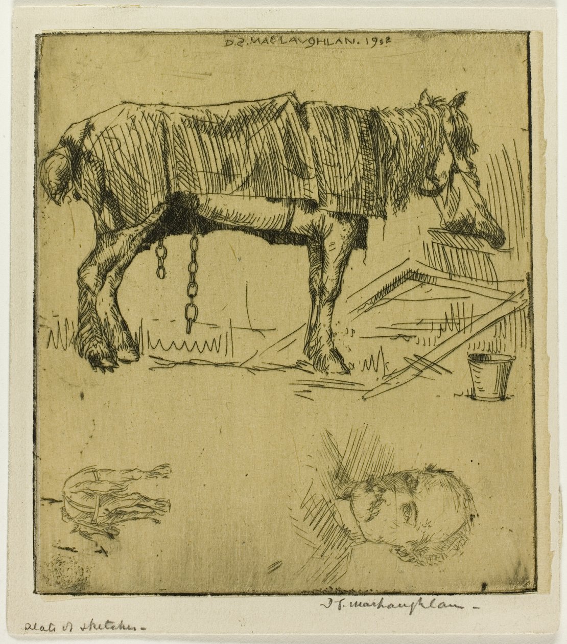 Vázlatok tányérja alkotó: Donald Shaw MacLaughlan
