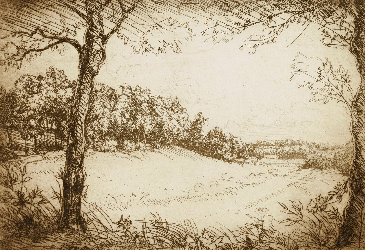Nyári reggel Tennessee-ben alkotó: Donald Shaw MacLaughlan