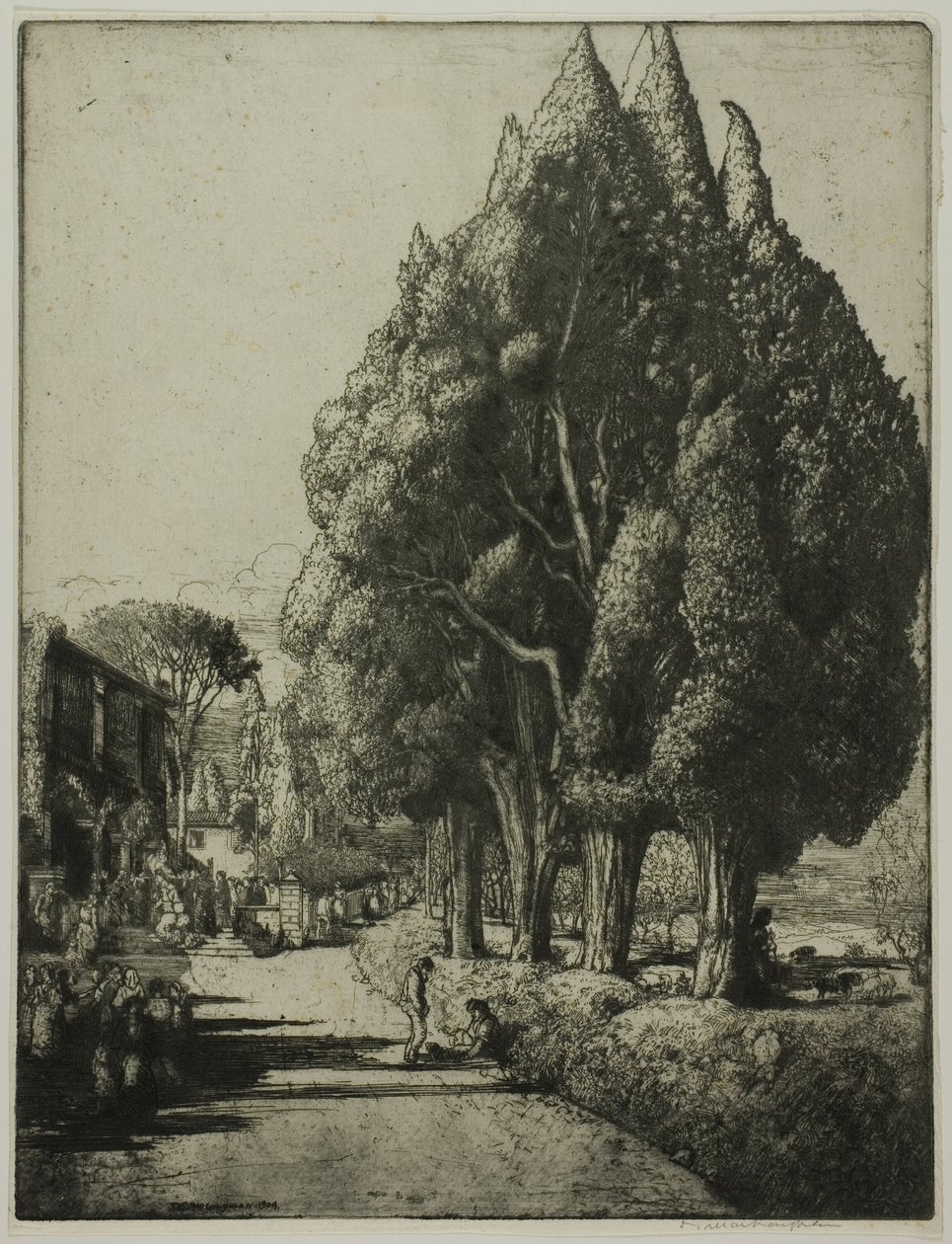 A Cypress Grove alkotó: Donald Shaw MacLaughlan