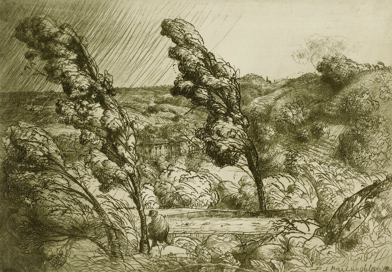 A vihar alkotó: Donald Shaw MacLaughlan