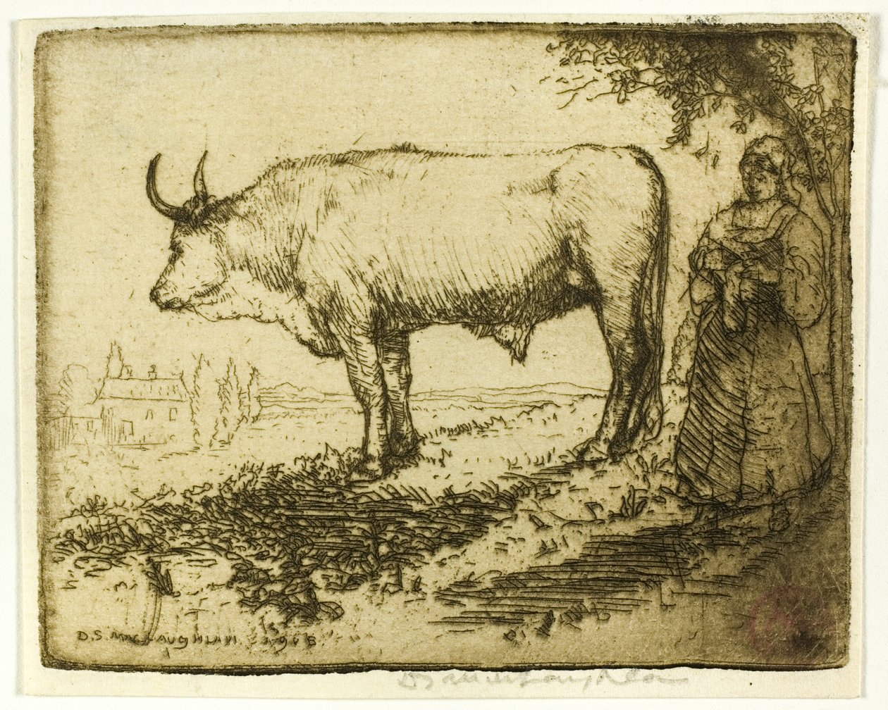 A fehér ökör alkotó: Donald Shaw MacLaughlan