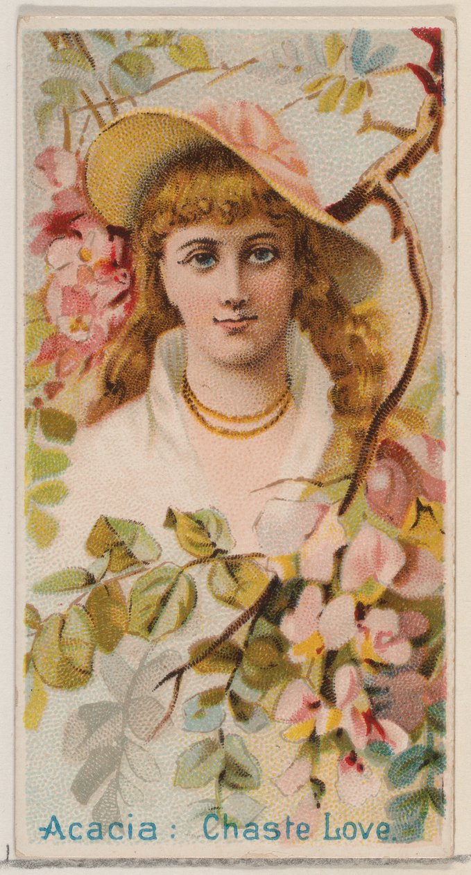 Acacia: Chaste Love, a Virágos szépségek és a Virágok nyelve című sorozatból N75 Duk..., 1892. alkotó: Donaldson Brothers