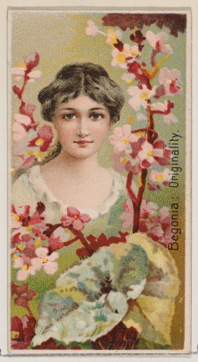 Begonia: Eredetiség, a Virágszépségek és a Virágnyelv N75 for Du... sorozatból, 1892. alkotó: Donaldson Brothers