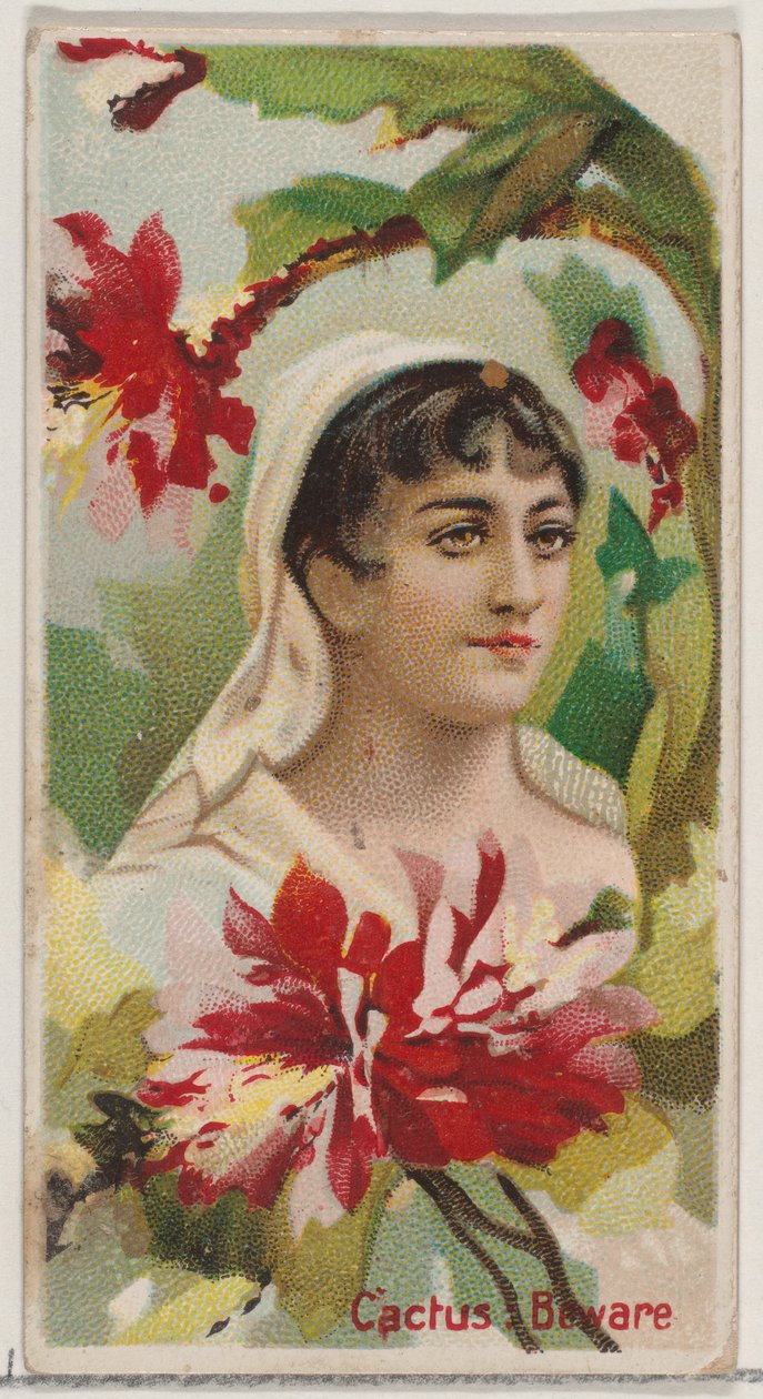 Kaktusz: Vigyázat, a Virágszépségek és a Virágok nyelve sorozatból N75 Duke melltartóhoz..., 1892. alkotó: Donaldson Brothers