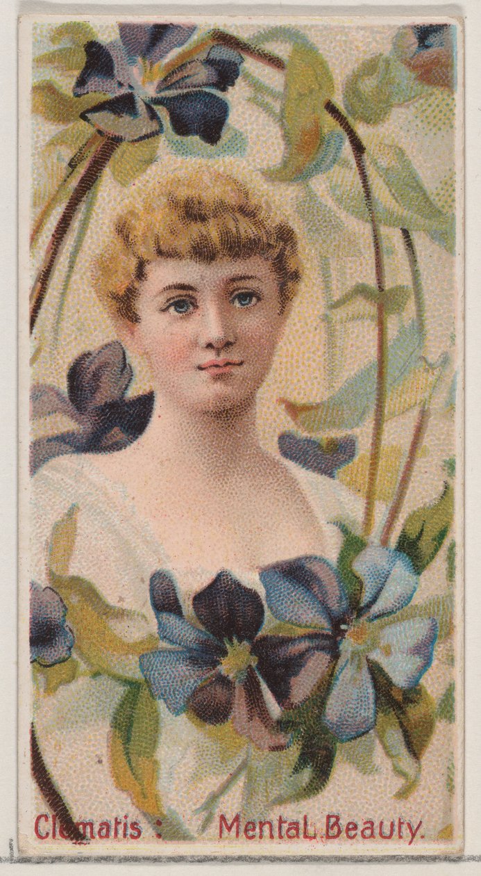 Clematis: Mentális szépség, a Virágszépségek és a Virágok nyelve sorozatból N75 for..., 1892. alkotó: Donaldson Brothers