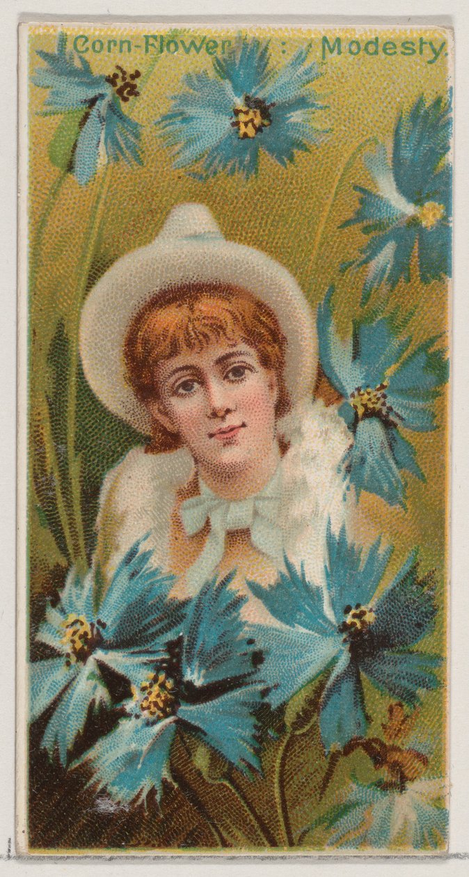Búzavirág: Szerénység, a Virágszépségek és a Virágnyelv N75 for Duk... sorozatból, 1892. alkotó: Donaldson Brothers