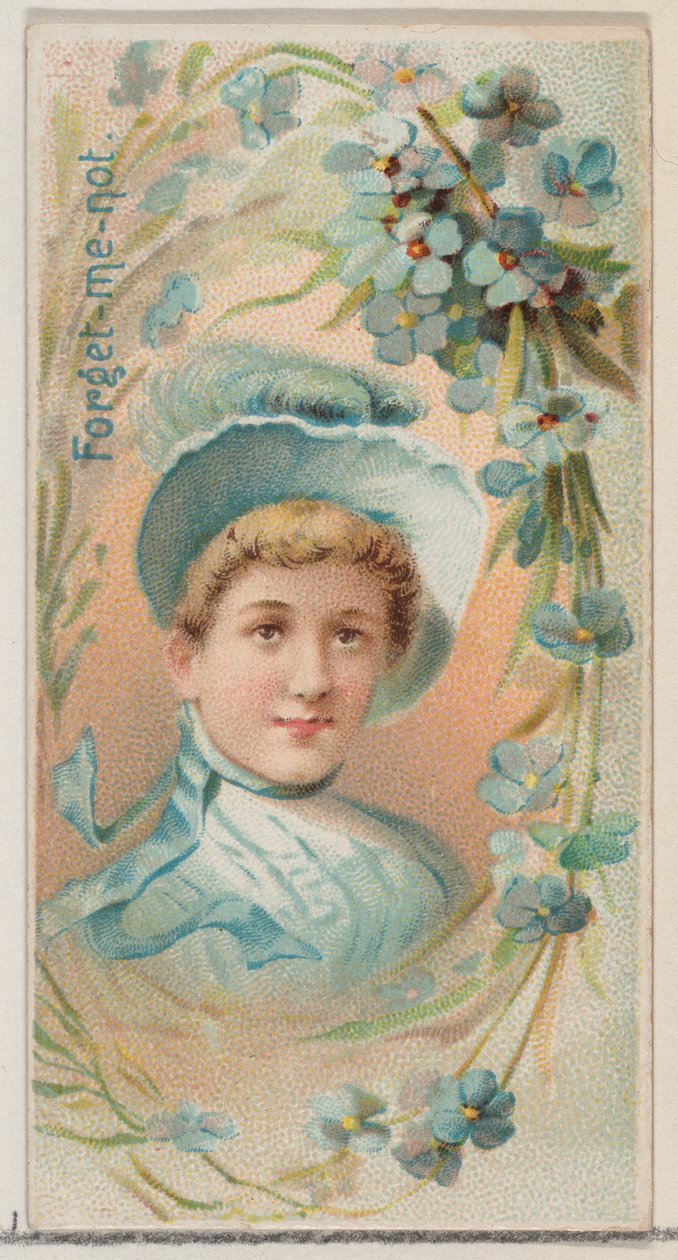 Nefelejcs, a Virágszépségek és a Virágok nyelve című sorozatból N75 Duke Bran..., 1892-ben. alkotó: Donaldson Brothers