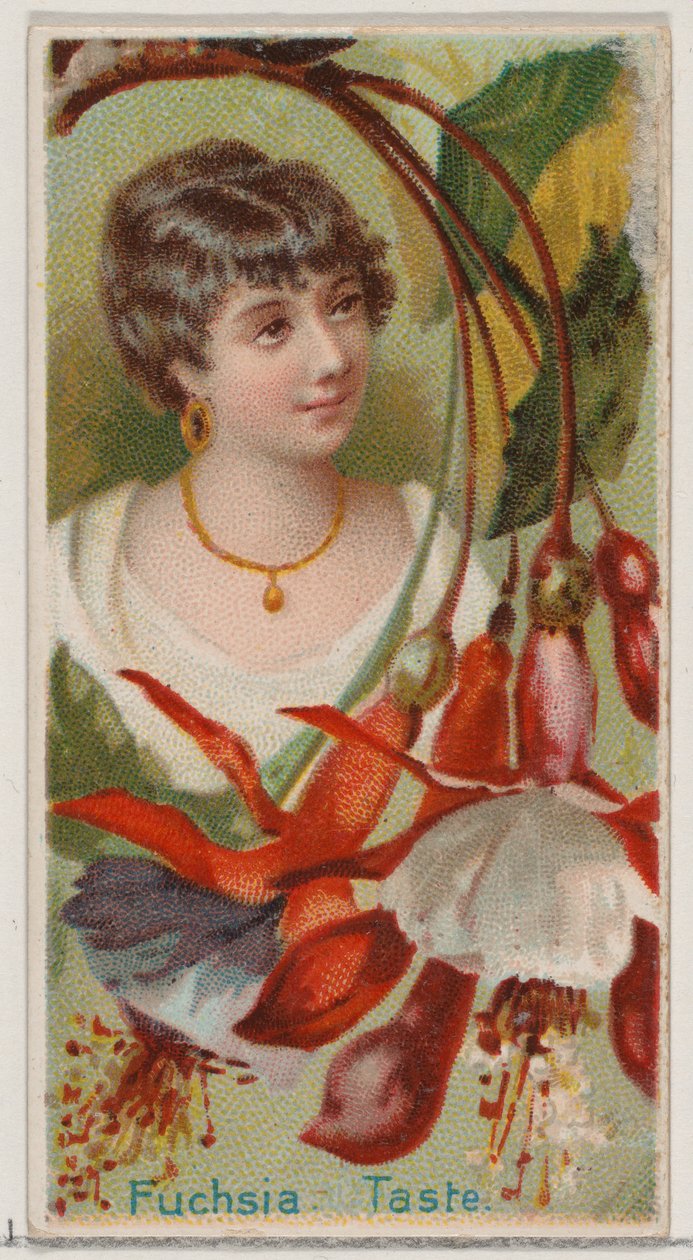 Fukszia: Íz, a Virágszépségek és a Virágok nyelve sorozatból N75 Duke melltartóhoz..., 1892. alkotó: Donaldson Brothers