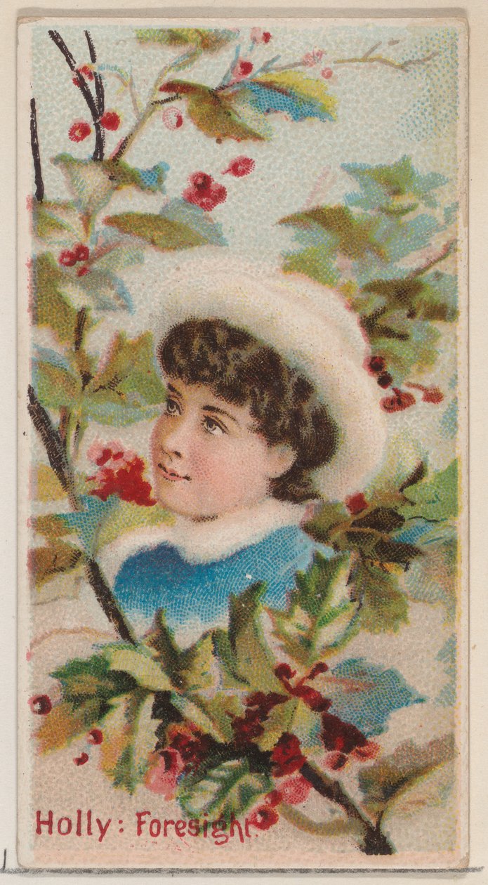 Holly: Előrelátás, a Virágok szépségei és a Virágnyelv N75 sorozatból, Duke b..., 1892. alkotó: Donaldson Brothers