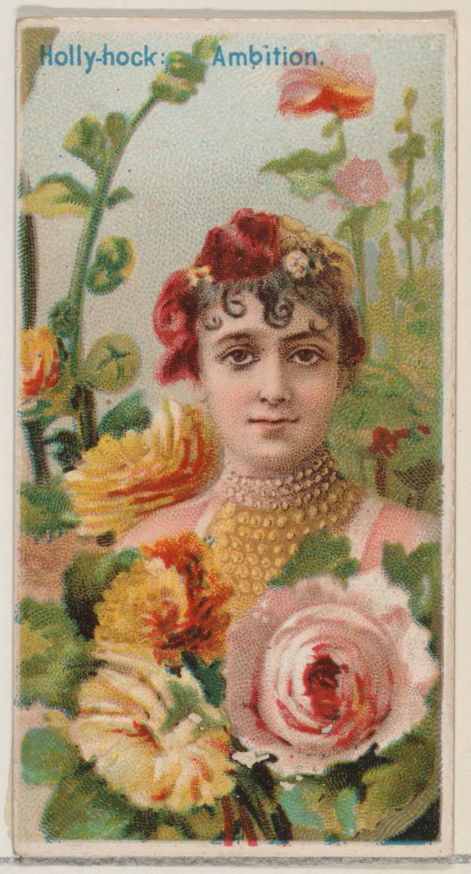 Hollyhock: Ambition, a Floral Beauties and Language of Flowers N75 for Duk... sorozatból, 1892. alkotó: Donaldson Brothers