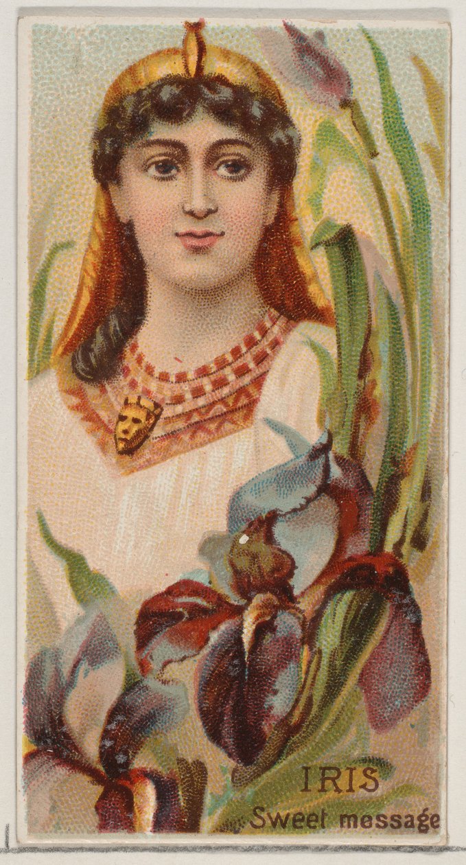 Iris: Édes üzenet, a Virágszépségek és a Virágok nyelve című sorozatból N75 Duk..., 1892. alkotó: Donaldson Brothers