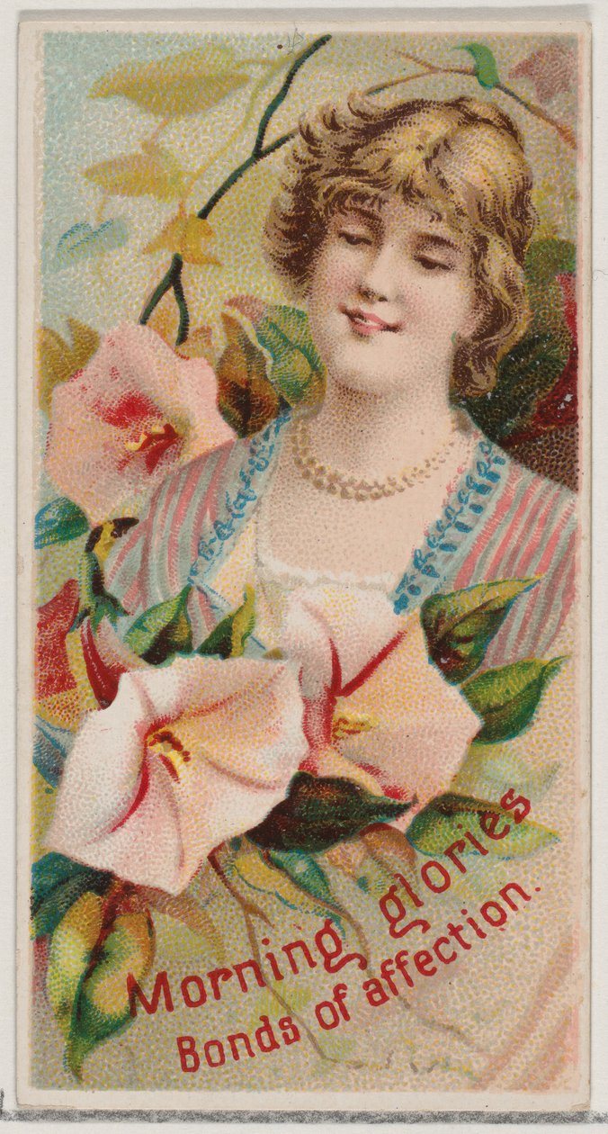 Morning Glories: Bonds of Affection, a Floral Beauties and Language of Flowe... sorozatból, 1892. alkotó: Donaldson Brothers