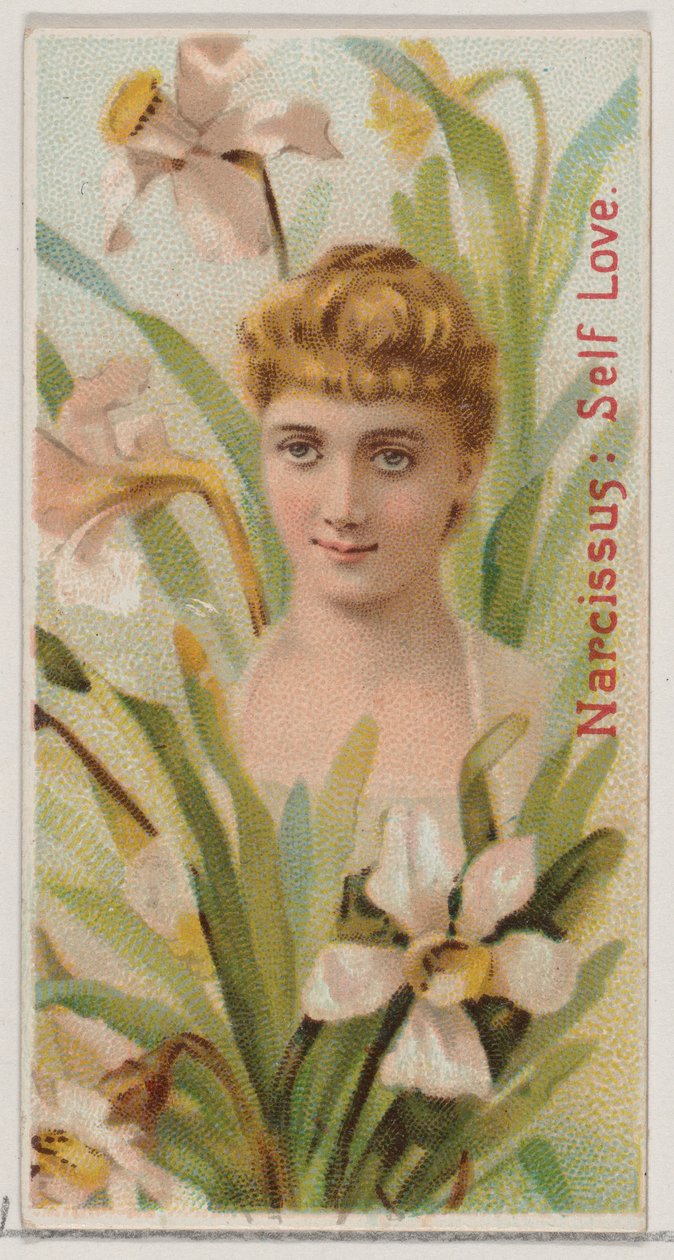 Narcissus: Self Love, a Virág szépségei és a Virágok nyelve című sorozatból N75 a Du... számára, 1892. alkotó: Donaldson Brothers