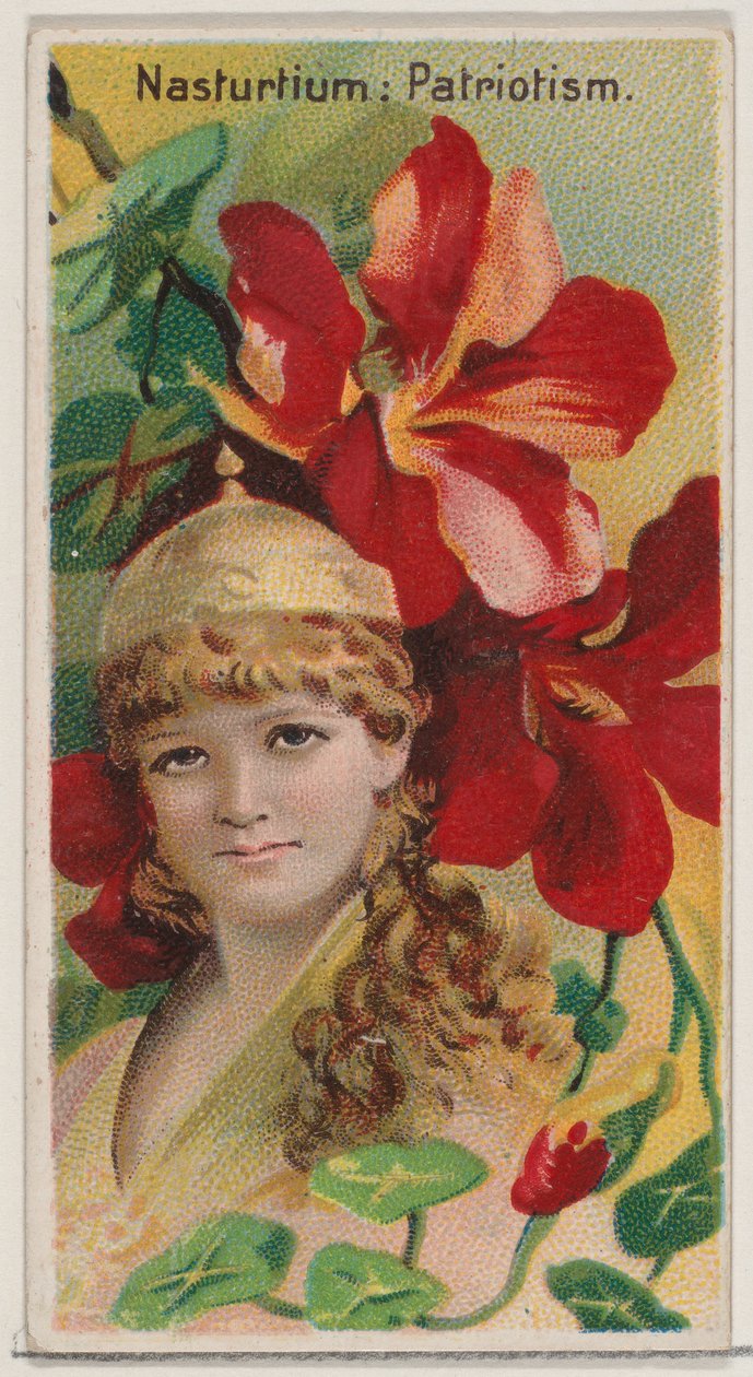 Nasturtium: Patriotism, a Virágok szépségei és a Virágnyelv N75 sorozatból, ..., 1892. alkotó: Donaldson Brothers