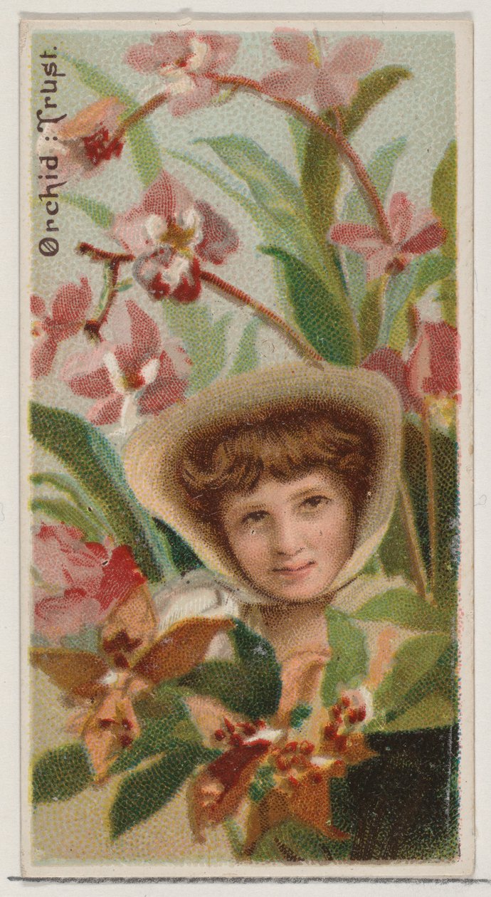 Orchidea: Trust, a Virágszépségek és a Virágok nyelve sorozatból N75 Duke Bran..., 1892. alkotó: Donaldson Brothers