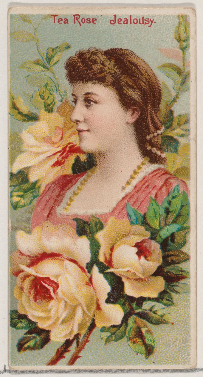 Tea Rose: Féltékenység, a Virágszépségek és a Virágok nyelve című sorozatból N75 Duke... számára, 1892. alkotó: Donaldson Brothers