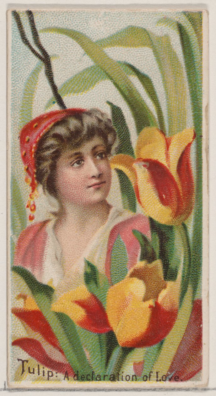 Tulipán: A szerelem nyilatkozata, a Virágok szépségei és a Virágok nyelve sorozatból N75..., 1892. alkotó: Donaldson Brothers